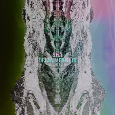 Sha & Delia Meshlir: LUNGHIN